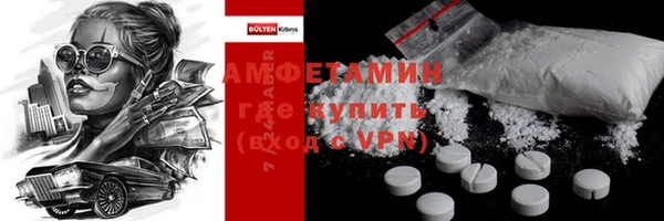 ПСИЛОЦИБИНОВЫЕ ГРИБЫ Богданович