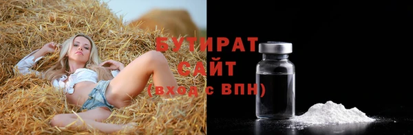 индика Богородицк