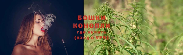 гашик Снежногорск