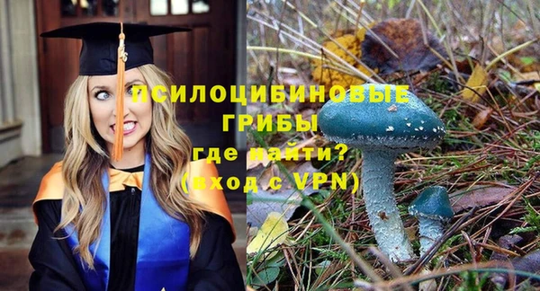 стафф Беломорск