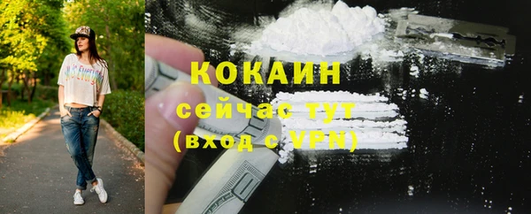 индика Богородицк