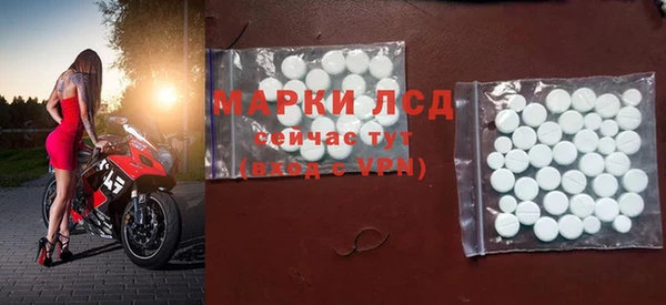 индика Богородицк
